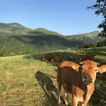 3 Pieces Avec Wifi A 300 M Des Thermes - Fr-1-608-204 Daire Le Mont-Dore