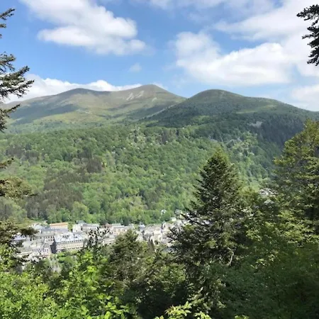 : 3 Pièces Avec Terrasse Et Wifi à 300m Des Thermes - Fr-1-608-204 Le Mont-Dore