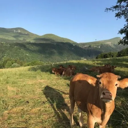 : 3 Pièces Avec Terrasse Et Wifi à 300m Des Thermes - Fr-1-608-204 Appartamento Le Mont-Dore