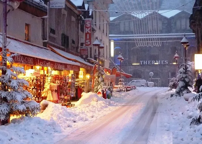 Apartment 3 Pieces Avec Wifi A 300 M Des Thermes - Fr-1-608-204