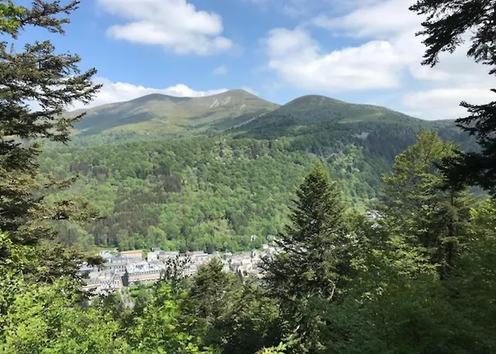 : 3 Pièces Avec Terrasse Et Wifi à 300m Des Thermes - Fr-1-608-204 Le Mont-Dore