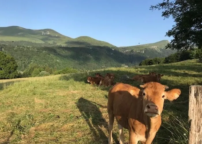 : 3 Pièces Avec Terrasse Et Wifi à 300m Des Thermes - Fr-1-608-204 Appartamento Le Mont-Dore